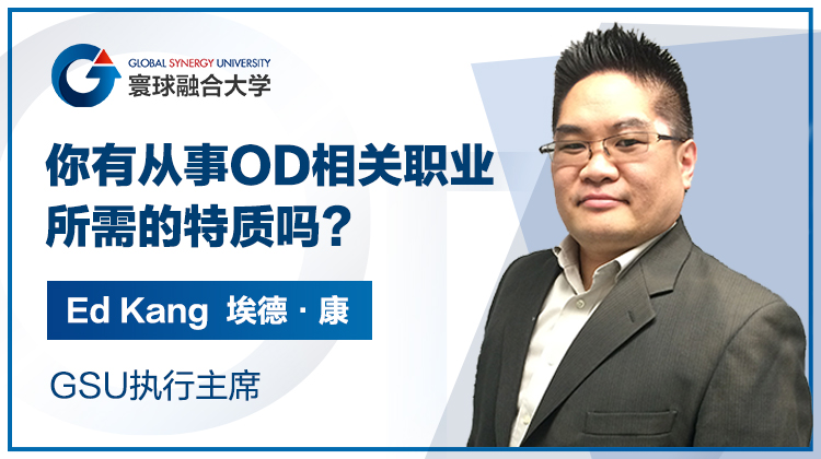 寰球OD胜任力技能列表