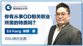寰球OD胜任力技能列表