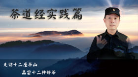 茶道经——茶山实践篇