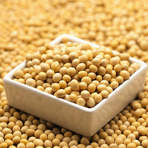 立景有机黄豆罐装400g罐