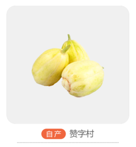 赞字村香瓜（自产）尝鲜价（±50g/份）