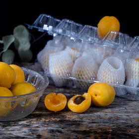 7月15日 极客食安早报