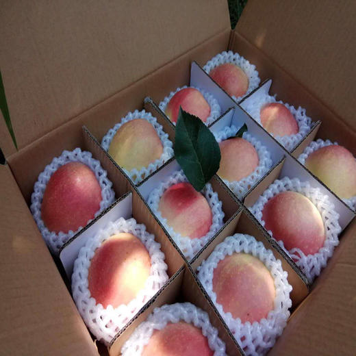 陕西富平花冠红苹果水果5斤包邮,现摘现发 脆甜多汁 皮薄口感好