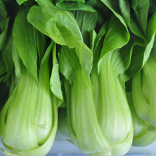 唐菜 250g 商品图0