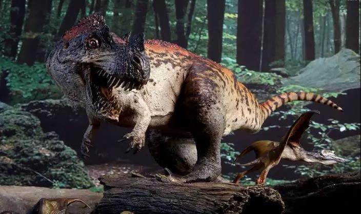 角鼻龙快来认识一下它吧!