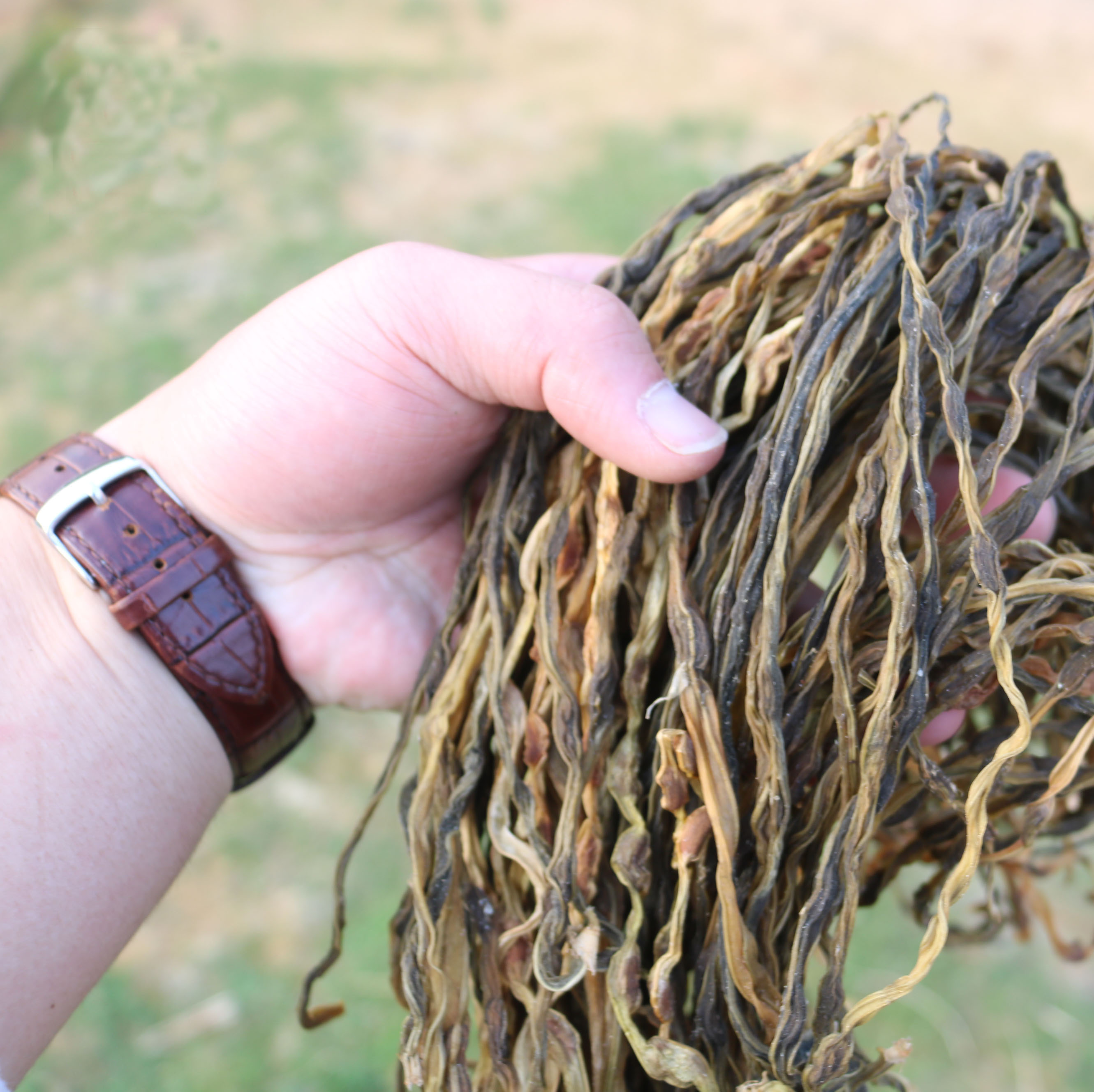 农家干豆角250g2包