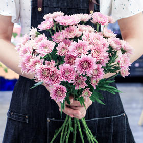 【周四团购】10枝夏日清凉雏菊花 39.9元 三人拼团