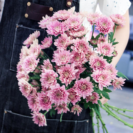 【周四团购】10枝夏日清凉雏菊花 39.9元 三人拼团 商品图4