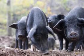  福利来袭，敬请关注！ 