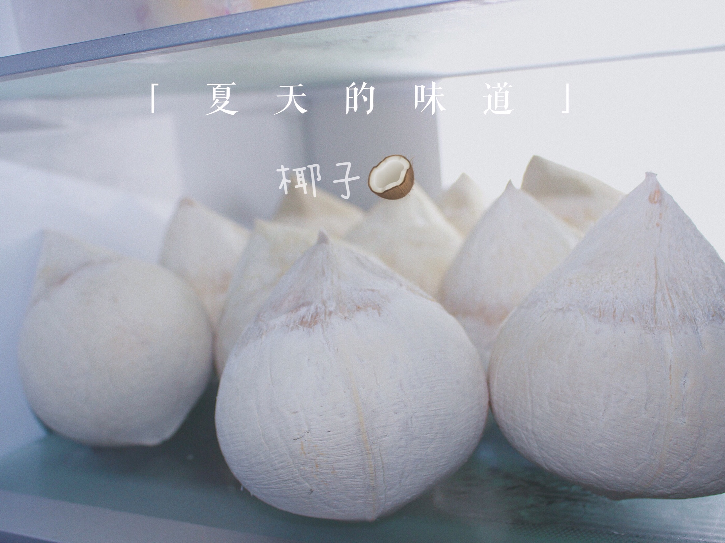 东泰国宝椰皇 椰子才是夏天的味道