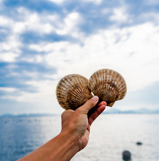7月13日 极客食安早报 商品图0