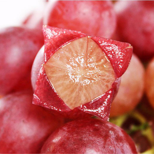 &精选 云南大理有籽红提 现摘提子 应季新鲜水果 玫瑰香葡萄 当季整箱