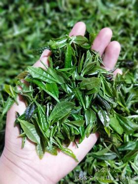 影响萎凋走水顺不顺的关键因素