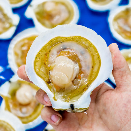 7月30日食安早报：冰箱不是保险箱！食物放冰箱几天合适？ 商品图0