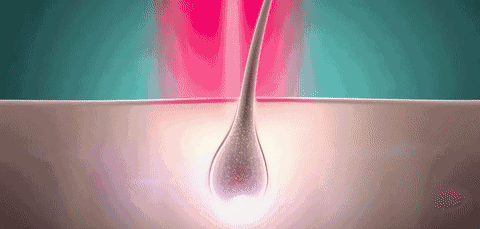 你的头发一根都不许掉!德国这款黑科技洗发皂,7天发量暴增!