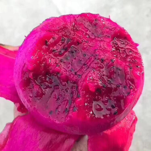 蜜宝火龙果——果皮薄，甜蜜蜜 商品图0