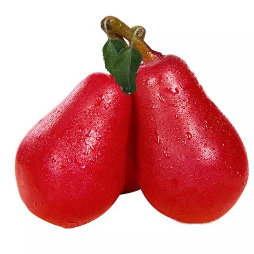 陕西红啤梨丨陕西大荔原产地直发~ 软糯香甜~ 美味营养~ 鲜甜多汁~ 5