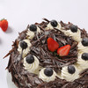 绒樱黑森林 商品缩略图2