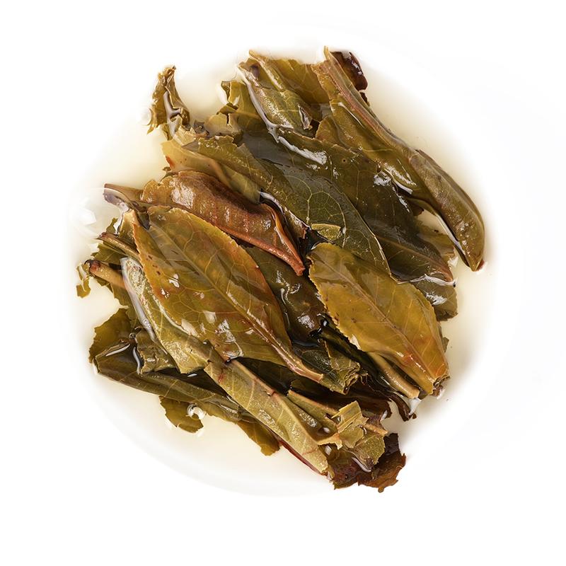 云子四季 密香金砖 冰岛黄金叶砖 云南普洱茶 生茶 500克一片