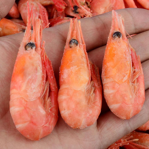 北极甜虾带籽野生海虾元宝虾新鲜海鲜 2斤化冻即食