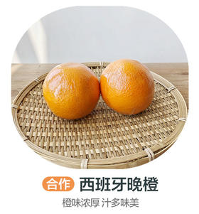 西班牙晚橙(合作)（±50g/份）