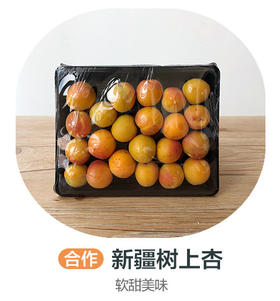 新建树上杏（合作）（±50g/份）