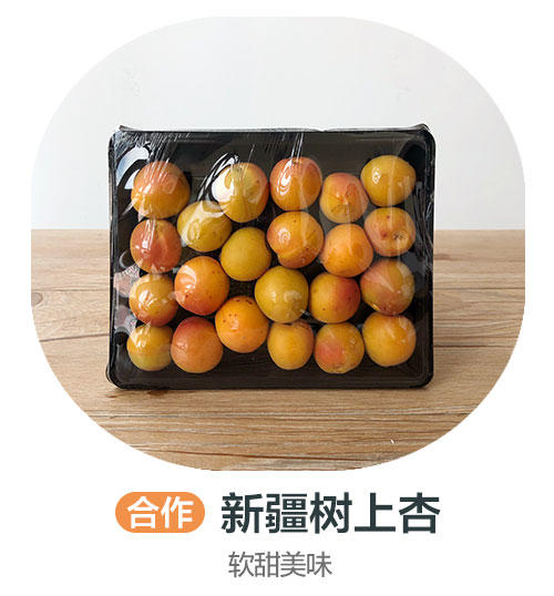 新建树上杏（合作）（±50g/份） 商品图0