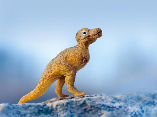 02 真正的勇士三角龙多利 商品图0