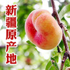 新疆大蟠桃新疆时令水果特产美食 商品缩略图1