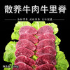 彩虹雨 有机牛肉牛里脊 自然生长 无抗生素 无瘦肉精 无添加 商品缩略图4