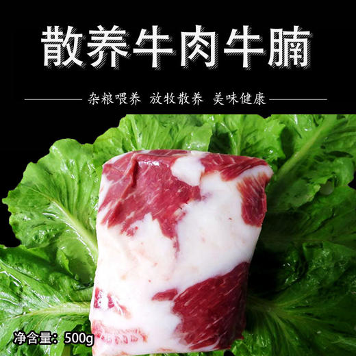 彩虹雨 生态牛肉 牛腩500g 无抗生素 全国发货满额包邮 商品图4