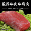 彩虹雨 生态牛肉 牛肩肉500g 无抗生素 全国发货满额包邮 商品缩略图3