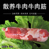 彩虹雨 生态牛肉  牛肉筋 500g 无抗生素 全国发货满额包邮 商品缩略图2