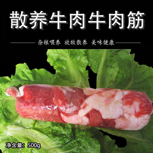 彩虹雨 生态牛肉  牛肉筋 500g 无抗生素 全国发货满额包邮 商品图2