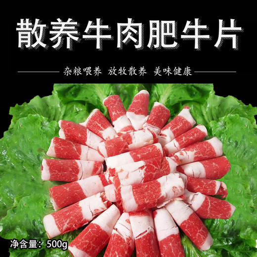 生态牛肉  肥牛片牛肉卷 500g 无抗生素只发京津冀 商品图5