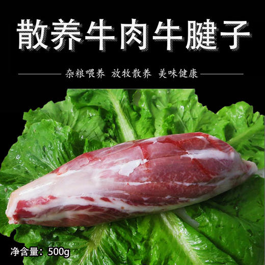 彩虹雨 生态牛肉  牛腱子 500g 全国发货满额包邮 商品图5