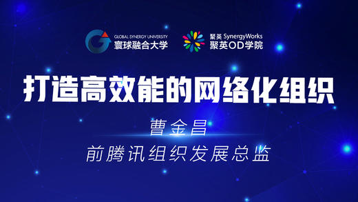 曹金昌 | 打造高效能的网络化组织 商品图0