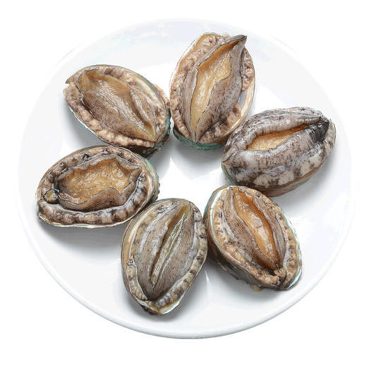 五头鲍鱼 商品图0