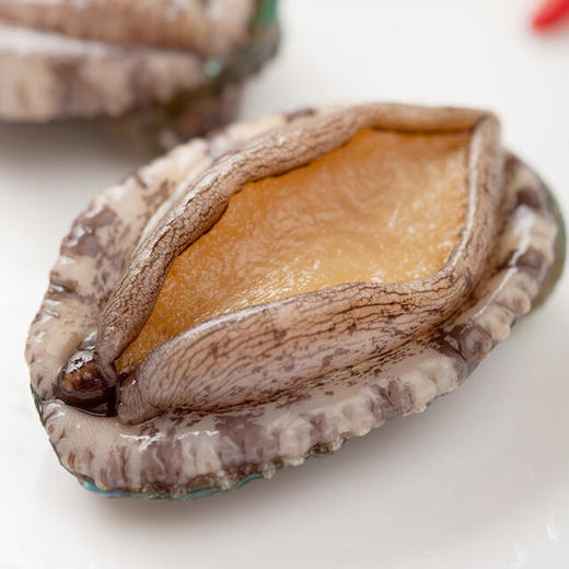 五头鲍鱼 商品图1