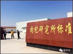  以枸杞的名义，沙海绿洲之行 