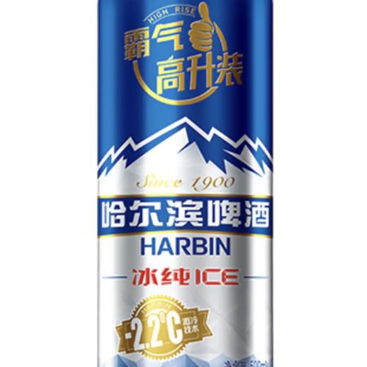 哈尔滨冰纯啤酒500ml清爽口感夏日畅饮必备 商品图2