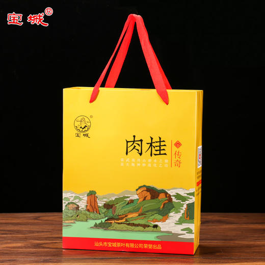宝城传奇肉桂茶叶四盒装共500克小泡礼盒装乌龙茶岩茶A929 商品图9