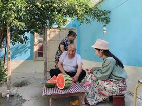 绿色的小庭院，清凉一夏