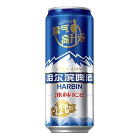 哈尔滨冰纯啤酒500ml清爽口感夏日畅饮必备