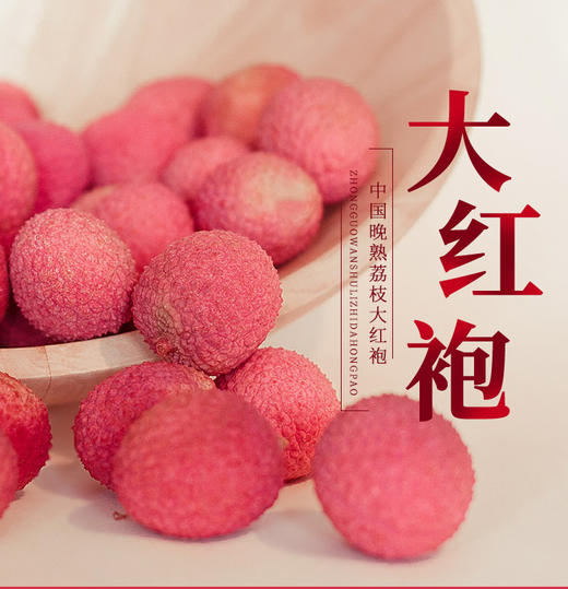 【云燕优品】合江荔枝大红袍-5斤装川渝地区顺丰包邮 商品图0