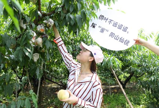无蜜桃不夏天，桐鲜生*阳山微生物菌肥水蜜桃，唯蜜的秘密，第七季 商品图4