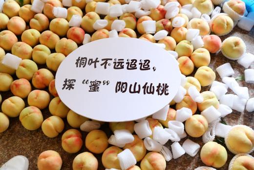 无蜜桃不夏天，桐鲜生*阳山微生物菌肥水蜜桃，唯蜜的秘密，第七季 商品图9