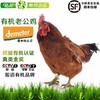 秦邦吉品 600天有机散养老公鸡 商品缩略图0