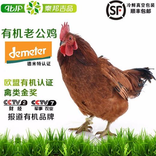 秦邦吉品 600天有机散养老公鸡 商品图0