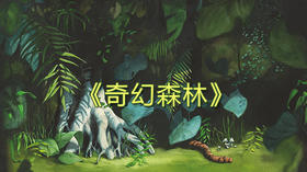 偷梦的女巫